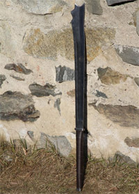 Malchius